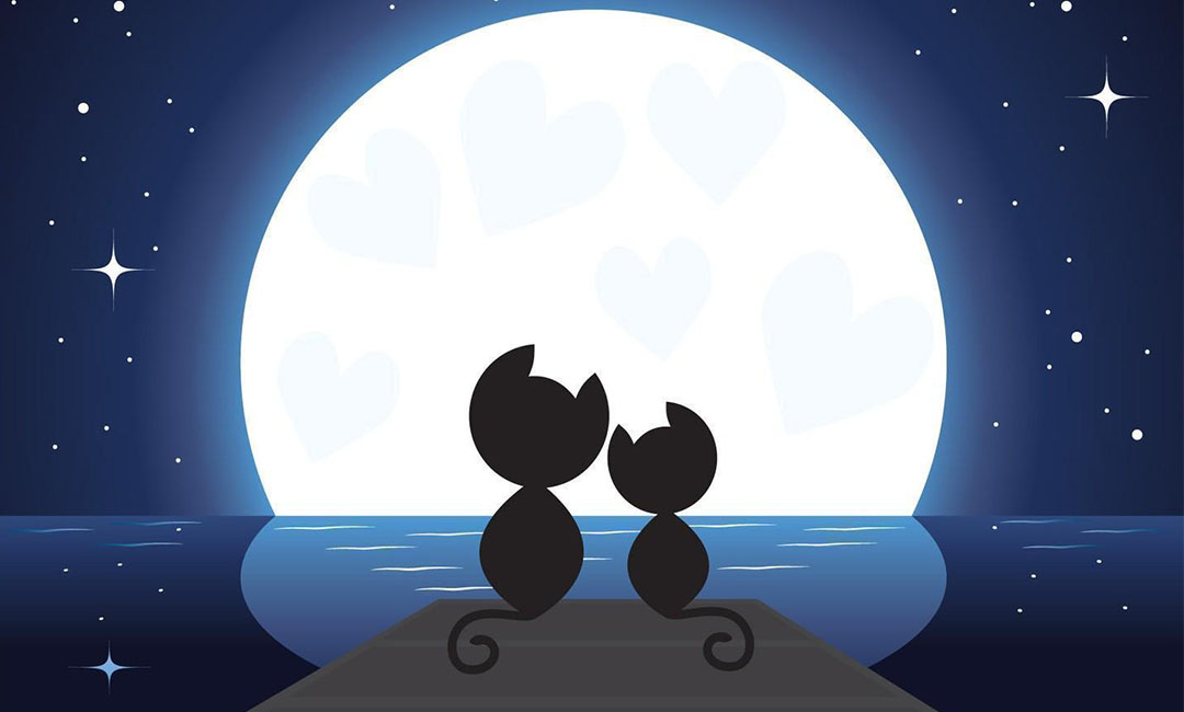 鹤壁潮客汇微信活动策划案例